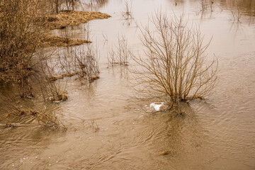 inundation , flood of water in spring , owerflow drowning everything : bushes , trees ,coasts ,...