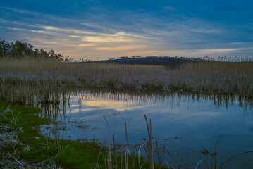 Sun setting beyond a swamp or pond. Lake in the evening. Lake and forest on the other side during blue hour, in rural scene.