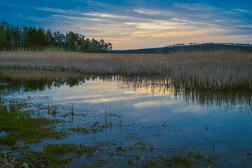 Sun setting beyond a swamp or pond. Lake in the evening. Lake and forest on the other side during blue hour, in rural scene.