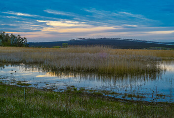 Sun setting beyond a swamp or pond. Lake in the evening. Lake and forest on the other side during blue hour, in rural scene.