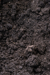 Clean soil for cultivation. Dry texture top view. Loose black soil in the form of lumps. Brown soil texture with small lumps as a background. Dirt, soil chunk in fields for plants,  texture 