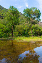 Obraz premium Scenic landscape with trees reflections in the water