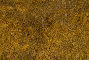 Hay texture. Hay bales are stacked in large stacks. Harvesting in agriculture.