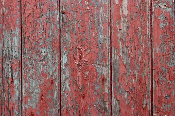 Red cracked and chipped paint on vertically oriented weathered wooden boards. Grunge, vintage, shabby chic