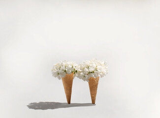 White spring flower in ice cream cone on light background. Minimal spring concept idea.