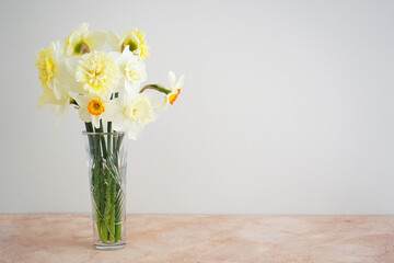 Beautiful bouquet of fresh yellow daffodil flowers in vase against beige background. Space for text. Spring blossoms. Mother's day card.