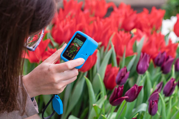Unrecognizable girl with compact camera taking photo of blossom flowers. Modern technology, hobby concept
