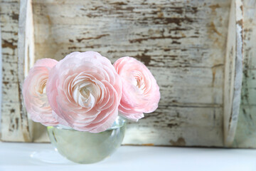 Three pale pink ranunculus in a transparent round vase on the white windowsill. Copy space. Place for text