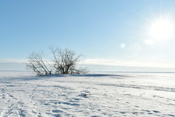 A clear winter day on the Volga River