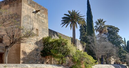 Fototapeta premium Palais de l'Alhambra et du palais de Generalife en Andalousie au sud de l'Espagne avec la neige de la sierra nevada au loin