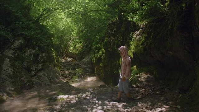 Boy walking in jungles among green forest and mountain river. Creative. Lush green trees and flowing cold river, child exploring wild nature.