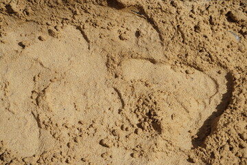 Gelb-braune Sandfläche mit Muster