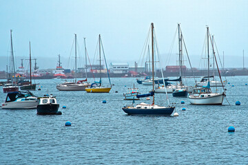 Fototapeta premium Cornwall