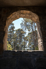 Front view of a forest from the window of an old Bismarck tower in Chile.