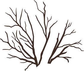 Obraz premium Abstract dry tree branches isolated on white background