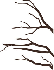 Fototapeta premium Abstract dry tree branches isolated on white background