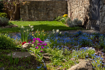 first spring flowers in the garden, colourful look into the garden on the countryside