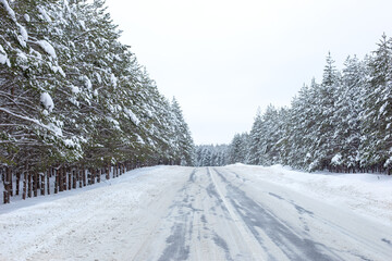 Fototapeta premium landscape of snowy winter road through a pine forest outside the city