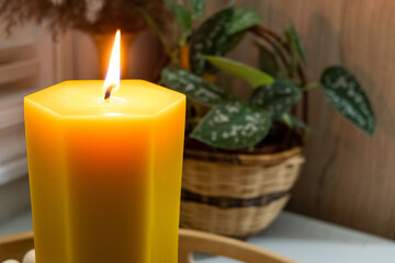 A tall hexagonal shaped beeswax candle is displayed with a plant. - obrazy, fototapety, plakaty