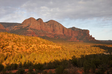 Obraz premium Valley view-Cathedral Rock, Sedona, AZ