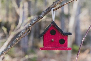 Homemade red birdhouse hanging in the tree in the backyard