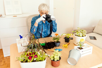 Modern mature female in white rubber gloves with potted plant making photos using her camera at...