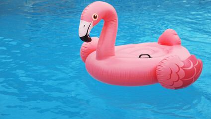 pink flamingo in swimming pool