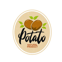 Potatoes vector illustration with handwritten text for banner, restaurant menu, farmers market. Modern brush ink calligraphy, hand lettering typography. Logo concept design. Hand drawn potato icon