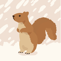 Cute squirrel on snow