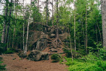 Szczeliniec, Góry Stołowe, Polska © Kornel