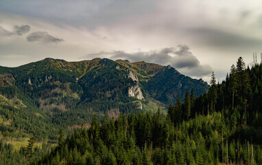 Tatry, Zakopane, Polska