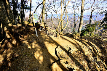 丹沢の大山三峰山　北峰山頂
三峰山は東丹沢に属し、大山と宮ヶ瀬湖の中間に位置する山。丹沢山の北東に位置する丹沢三峰（西峰（太礼ノ頭）、中峰（円山木ノ頭）、東峰（本間ノ頭））と区別するために大山三峰山とも云われている。
