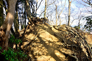 丹沢の大山三峰山　北峰山頂
三峰山は東丹沢に属し、大山と宮ヶ瀬湖の中間に位置する山。丹沢山の北東に位置する丹沢三峰（西峰（太礼ノ頭）、中峰（円山木ノ頭）、東峰（本間ノ頭））と区別するために大山三峰山とも云われている。
