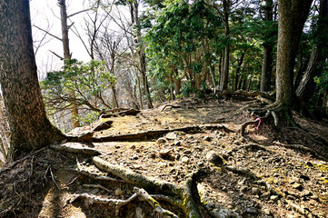 丹沢の七沢山山頂
七沢山は東丹沢の三峰山の南東250m程の場所に位置する山。山と高原地図や地理院地図には山名の表記はなく、山名を知る登山者も少ないことから、立ち止まる登山者も少ない。山頂は厚木市と清川村の境界にある。山頂は狭く樹々に囲まれ展望はない。
