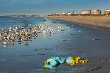 Plastic pollution on a beach in the gulf of mexico in texas, next to oil and petrochemical...