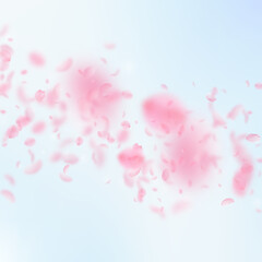 Fototapeta na wymiar Sakura petals falling down. Romantic pink flowers falling rain. Flying petals on blue sky square background. Love, romance concept. Fresh wedding invitation.