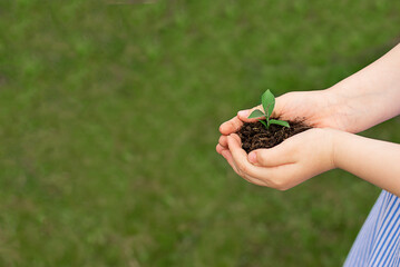 kid holding young green plant in hands on green grass background. Ecology and safe world concept. copy space