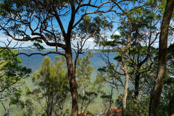 Fototapeta premium Looking through tree tops to the calm blue-green waters of Moreton Bay. Coochiemudlo Island, Queensland, Australia. 