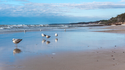 beach