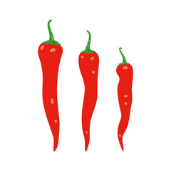 Vector illustration of red hot chili pepper.