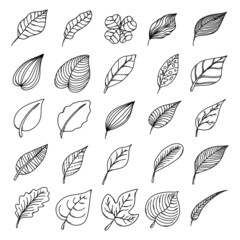 Leaf Doodle vector icon set. Drawing sketch illustration hand drawn line eps10
