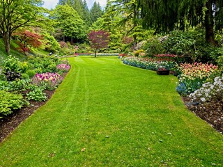 Obraz premium Lush garden blooming in the springtime with tulips, flowerbeds and lawns
