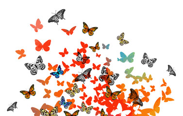 Fototapeta na wymiar Abstract multicolored butterflies. Vector illustration