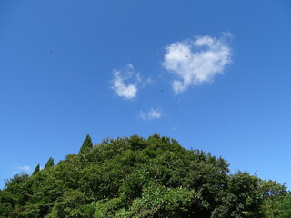 晴天の里山