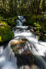 New Zealand landscape with waterfall