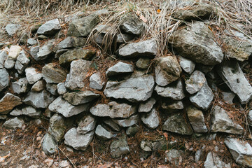 pile of logs