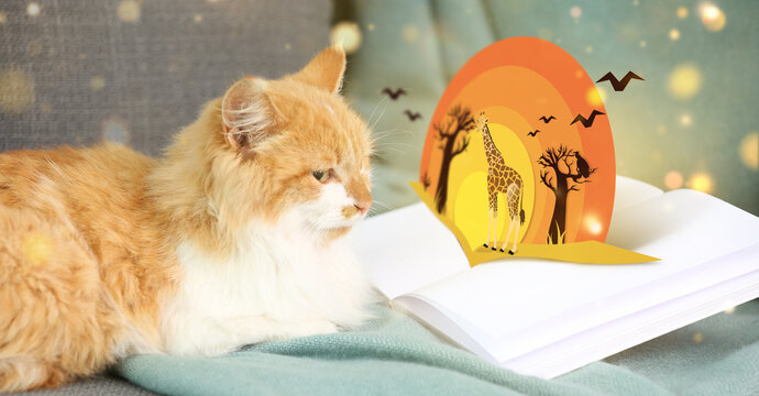 Cute cat near open book with drawn African savanna on sofa at home