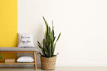 Comfortable pouf with pillows and houseplant near color wall