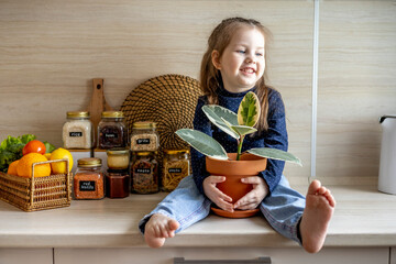 Toddler girl sits on the kitchen table sits and holds a clay pot with ficus in her hands.