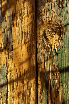 Yellow wodden planks covered with old flaking paint and visible wood patches, aged wodden wall surface with shades cested on it making a good background material